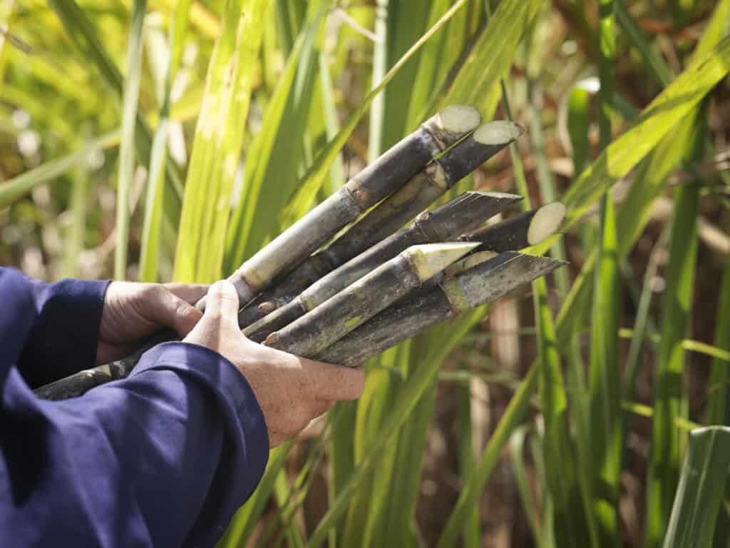 Nederlanders (74%) meer geïnteresseerd in plasticgebruik dan een jaar geleden